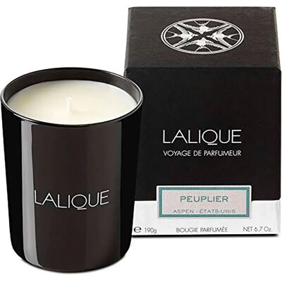 Candela Lalique Poplar Aspen - 190g - Unisex Candela Lalique Poplar Aspen - 190g - Unisex