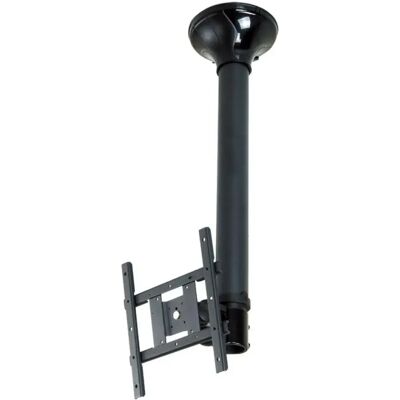 NewStar Montaggio A Soffitto Inclinabile Da 10 A 0´´ NewStar Montaggio A Soffitto Inclinabile Da 10 A 0´´