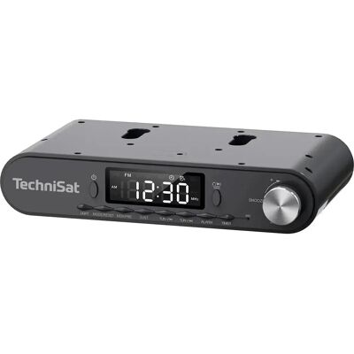 Technisat Radio Digitale Viola Technisat Radio Digitale Viola