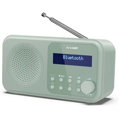 Sharp Radio Digitale Dr-p420 Green One Size Sharp Radio Digitale Dr-p420 Green One Size