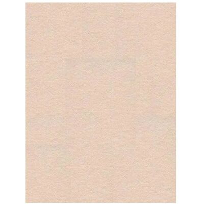Carta di sfondo per studio fotografico Bresser Oyster 2,72x11 M Carta di sfondo per studio fotografico Bresser Oyster 2,72x11 M