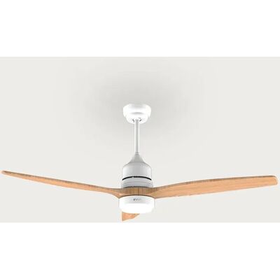 Evvo Ventilatore A Soffitto V50 Evvo Ventilatore A Soffitto V50
