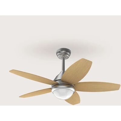 Evvo Ventilatore A Soffitto V16 Evvo Ventilatore A Soffitto V16