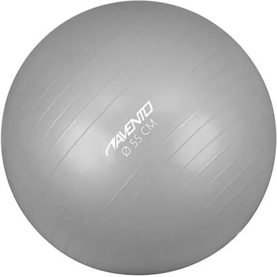 Avento Fitball Gymnastics Silver 65 cm Avento Fitball Gymnastics Silver 65 cm
