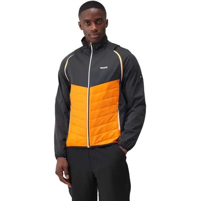 Regatta Giacca Softshell Steren Hybrid Orange Pepper / Ash 3XL Regatta Giacca Softshell Steren Hybrid Orange Pepper / Ash 3XL