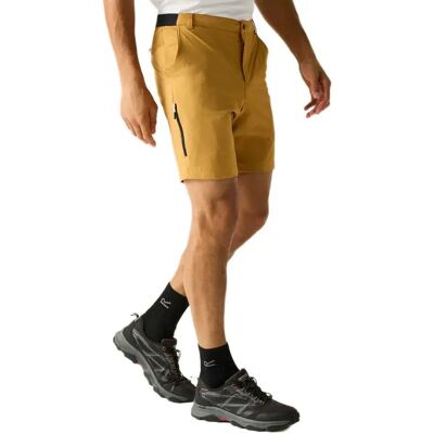 Regatta Pantaloni Corti Anti-insect Travel Light Wood Brown 34 Regatta Pantaloni Corti Anti-insect Travel Light Wood Brown 34