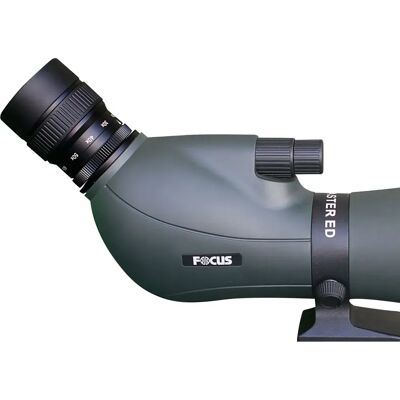 Focus Telescopio Viewmaster Ed 20-60x80 Wp Green One Size Focus Telescopio Viewmaster Ed 20-60x80 Wp Green One Size