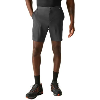 Regatta Pantaloni Corti Anti-insect Travel Light Ash 34 Regatta Pantaloni Corti Anti-insect Travel Light Ash 34