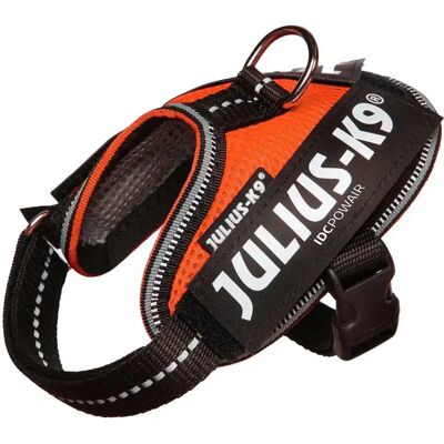 Julius K-9 Pettorina Per Cani Idc® Powair Orange Baby 1 Julius K-9 Pettorina Per Cani Idc® Powair Orange Baby 1