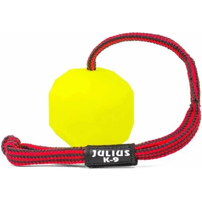 Palla Fluorescente Gialla Julius K9 - 60 cm Palla Fluorescente Gialla Julius K9 - 60 cm