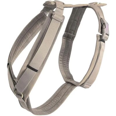 Kentucky Dogwear L Collare in Velluto per Cane - Collare per Cane Kentucky Dogwear L Collare in Velluto per Cane - Collare per Cane