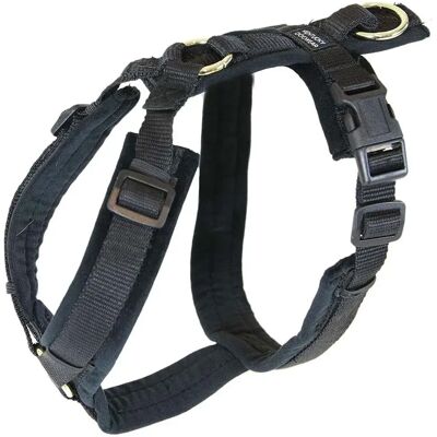 Kentucky Dogwear S collare in velluto - Imbracatura per cani Kentucky Dogwear S collare in velluto - Imbracatura per cani