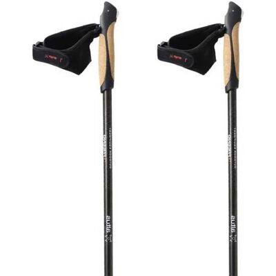 Bastoncini Altus Fresno H30 Argento - Bastoni da trekking Bastoncini Altus Fresno H30 Argento - Bastoni da trekking