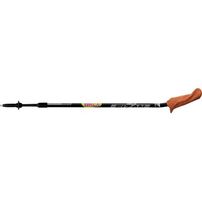 Fizan Bastoncini Walx Velocity Multicolor 87-125 cm Fizan Bastoncini Walx Velocity Multicolor 87-125 cm
