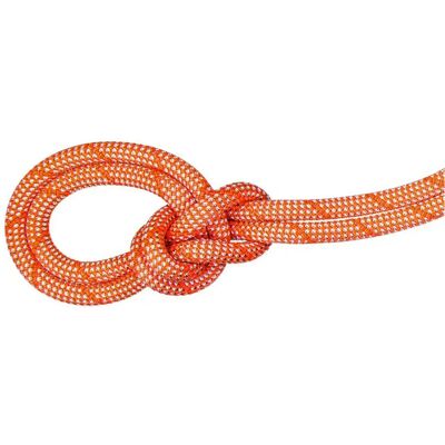Mammut 9.8 Crag Classic Rope - corda da arrampicata - 50m Mammut 9.8 Crag Classic Rope - corda da arrampicata - 50m