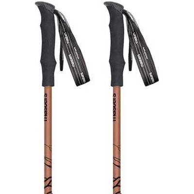 Masters Bastoncini Pathfinder Compact Lite Bronze 110-130 cm Masters Bastoncini Pathfinder Compact Lite Bronze 110-130 cm
