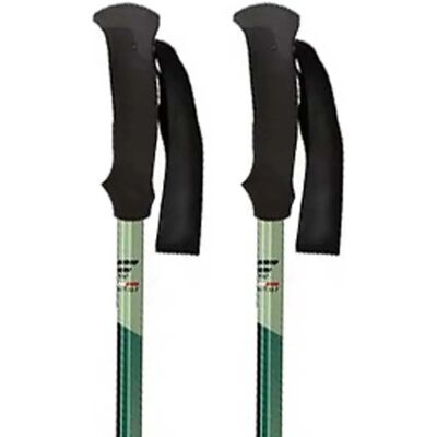 Fizan Bastoncino Trek Pro Dark Green 70-140 cm Fizan Bastoncino Trek Pro Dark Green 70-140 cm