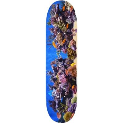 Mini Logo Tavola Da Skateboard Mini-logo Fish Tank Maple K20 8.5 Mini Logo Tavola Da Skateboard Mini-logo Fish Tank Maple K20 8.5