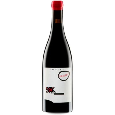 Judith Beck Bambule! Zweigelt 2019 - 75cl Judith Beck Bambule! Zweigelt 2019 - 75cl
