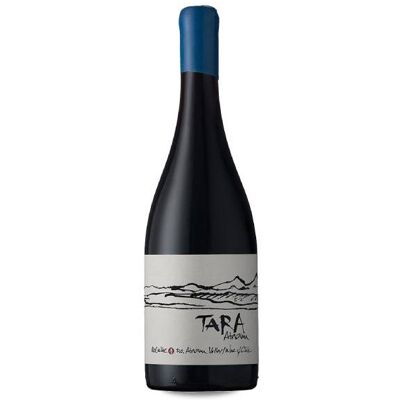 Viña Ventisquero Tara Pinot Noir 2019 - Vino Rosso Viña Ventisquero Tara Pinot Noir 2019 - Vino Rosso