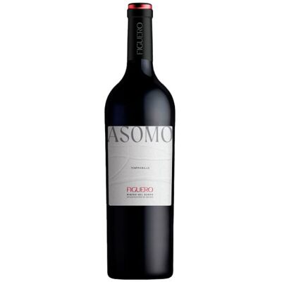 Vino Rosso García Figuero Ribera del Duero - 75cl Vino Rosso García Figuero Ribera del Duero - 75cl