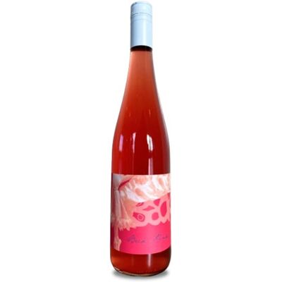 Judith Beck Pink 2025 Judith Beck Pink 2025