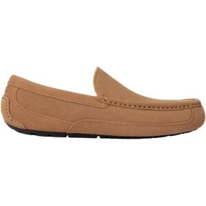 Pantofole UGG ASCOT (CASTAGNA) - Uomo 42 Pantofole UGG ASCOT (CASTAGNA) - Uomo 42