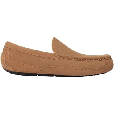 Pantofole UGG ASCOT (CASTAGNA) - Uomo 40 Pantofole UGG ASCOT (CASTAGNA) - Uomo 40