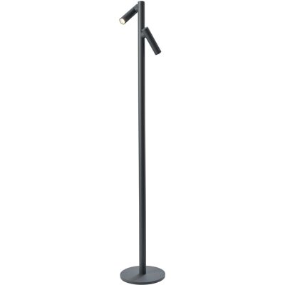 Sompex Lampada da Terra Tubo 2 LED Antracite 120 cm Sompex Lampada da Terra Tubo 2 LED Antracite 120 cm