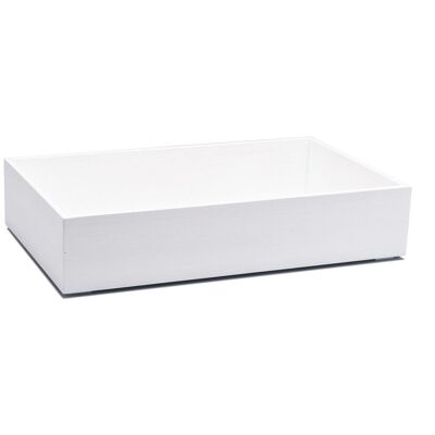 Yegam Cassetta in frassino bianco GN 1/1 h 10 cm T-Collection Yegam Cassetta in frassino bianco GN 1/1 h 10 cm T-Collection