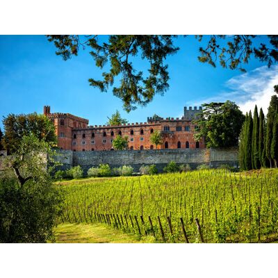 Smartbox Tour del Chianti e dei Castelli toscani con 2 degustazioni tipiche Smartbox Tour del Chianti e dei Castelli toscani con 2 degustazioni tipiche
