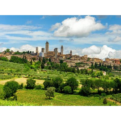 Smartbox Tour nel Chianti, a San Gimignano e a Montalcino Smartbox Tour nel Chianti, a San Gimignano e a Montalcino