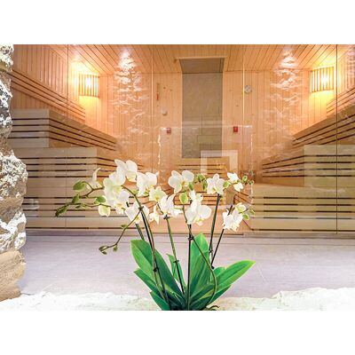 Smartbox 1 romantico percorso Day Spa per 2 Smartbox 1 romantico percorso Day Spa per 2