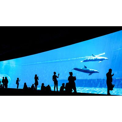 Smartbox Acquario di Genova: 2 biglietti giornalieri adulti con pranzo Smartbox Acquario di Genova: 2 biglietti giornalieri adulti con pranzo
