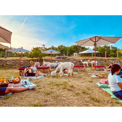 Smartbox Picnic in famiglia con gli alpaca: visita e souvenir per 2 adulti e 2 bambini Smartbox Picnic in famiglia con gli alpaca: visita e souvenir per 2 adulti e 2 bambini