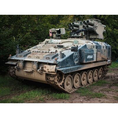 SMARTBOX Esperienza Tank per 2 - Avventura Militare SMARTBOX Esperienza Tank per 2 - Avventura Militare