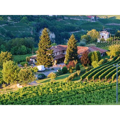 Smartbox 1 notte nei vigneti di una cantina delle Langhe con visita e degustazione vini per 3 Smartbox 1 notte nei vigneti di una cantina delle Langhe con visita e degustazione vini per 3