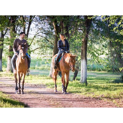 Smartbox 2 notti in un agriturismo in Umbria con attività in fattoria e passeggiata a cavallo Smartbox 2 notti in un agriturismo in Umbria con attività in fattoria e passeggiata a cavallo