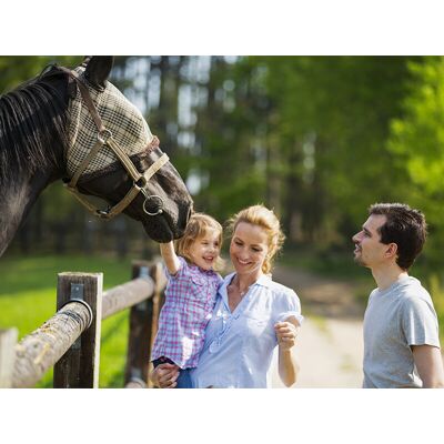 Smartbox Visita e attività in una fattoria in Puglia per famiglia di 2 adulti e 1 bambino Smartbox Visita e attività in una fattoria in Puglia per famiglia di 2 adulti e 1 bambino