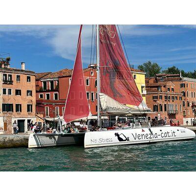 Smartbox Venezia Classica: Vivaldi Tour in catamarano con musica classica e 2 bevande per 2 persone Smartbox Venezia Classica: Vivaldi Tour in catamarano con musica classica e 2 bevande per 2 persone