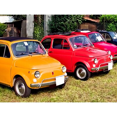 Smartbox Guida lenta di una Fiat o Mini Cooper d'epoca sul Lago di Garda (10h) Smartbox Guida lenta di una Fiat o Mini Cooper d'epoca sul Lago di Garda (10h)