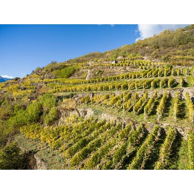 Smartbox Degustazioni enologiche per 2 in selezionate cantine della Lombardia Smartbox Degustazioni enologiche per 2 in selezionate cantine della Lombardia