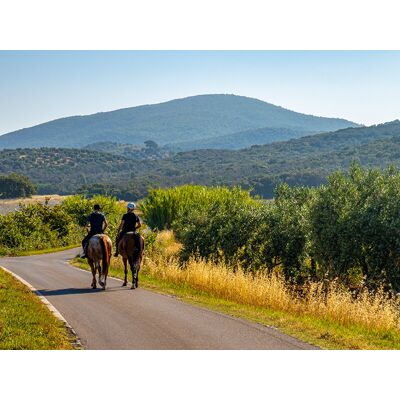 Smartbox A cavallo con gusto: passeggiata a cavallo di 45min e pranzo per 2 persone in Piemonte Smartbox A cavallo con gusto: passeggiata a cavallo di 45min e pranzo per 2 persone in Piemonte