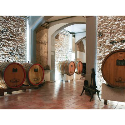 Smartbox Tour enologico con degustazione di 3 vini per 1 a Brescia e bottiglia omaggio Smartbox Tour enologico con degustazione di 3 vini per 1 a Brescia e bottiglia omaggio