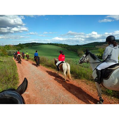 Smartbox Splendida passeggiata a cavallo (2h) per 2 persone vicino a Siena Smartbox Splendida passeggiata a cavallo (2h) per 2 persone vicino a Siena