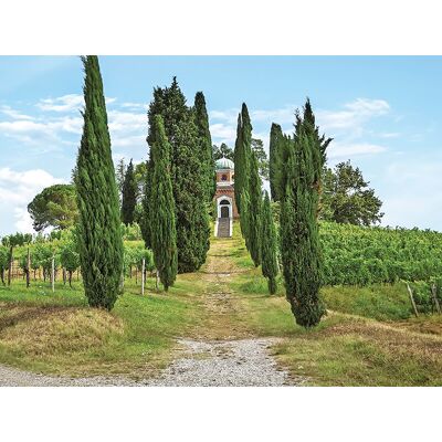 Smartbox Vigneti d'eccellenza in Friuli: visita alla cantina con degustazione vini e 2 bottiglie in regalo Smartbox Vigneti d'eccellenza in Friuli: visita alla cantina con degustazione vini e 2 bottiglie in regalo