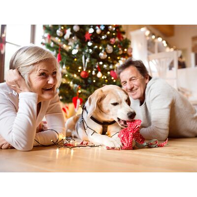 Smartbox Natale con Fido: 1 notte con il tuo amico a quattro zampe Smartbox Natale con Fido: 1 notte con il tuo amico a quattro zampe