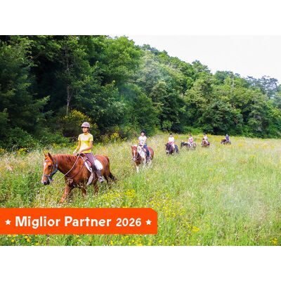 Smartbox In sella per la Maremma: esclusiva passeggiata a cavallo di 2 ore per 2 persone Smartbox In sella per la Maremma: esclusiva passeggiata a cavallo di 2 ore per 2 persone