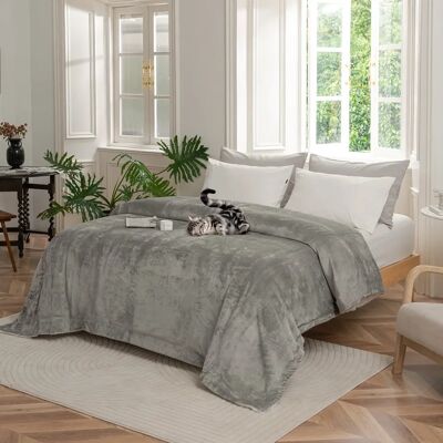 Good Nite Coperta in pile Coperta forcina-Sherpa Coperta per la casa Calda e morbida coperta invernale per divano e divano Grigio chiaro Good Nite Coperta in pile Coperta forcina-Sherpa Coperta per la casa Calda e morbida coperta invernale per divano e divano Grigio chiaro