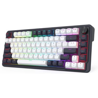 REDRAGON Tastiera da gioco K673 HE con trigger rapido, tastiera meccanica cablata 8K a 81 tasti con UltraMag di prossima generazione 100% POM magnetica setosa REDRAGON Tastiera da gioco K673 HE con trigger rapido, tastiera meccanica cablata 8K a 81 tasti con UltraMag di prossima generazione 100% POM magnetica setosa